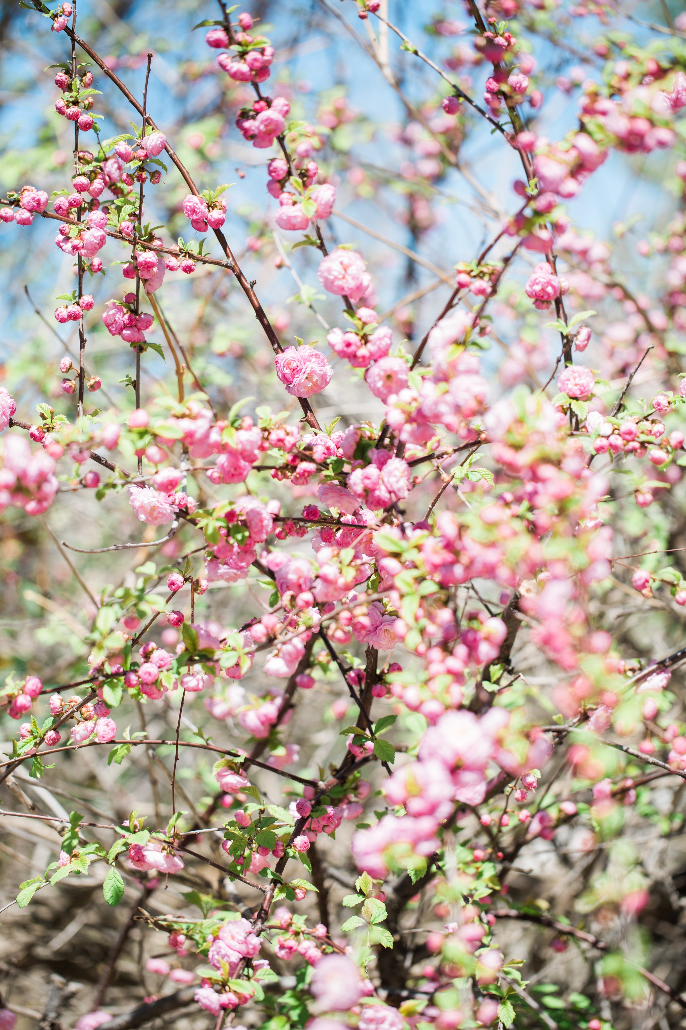 Healing Through Nature – My Story